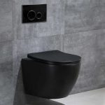 Matte Black Executive Round Pan Concealed Toilet